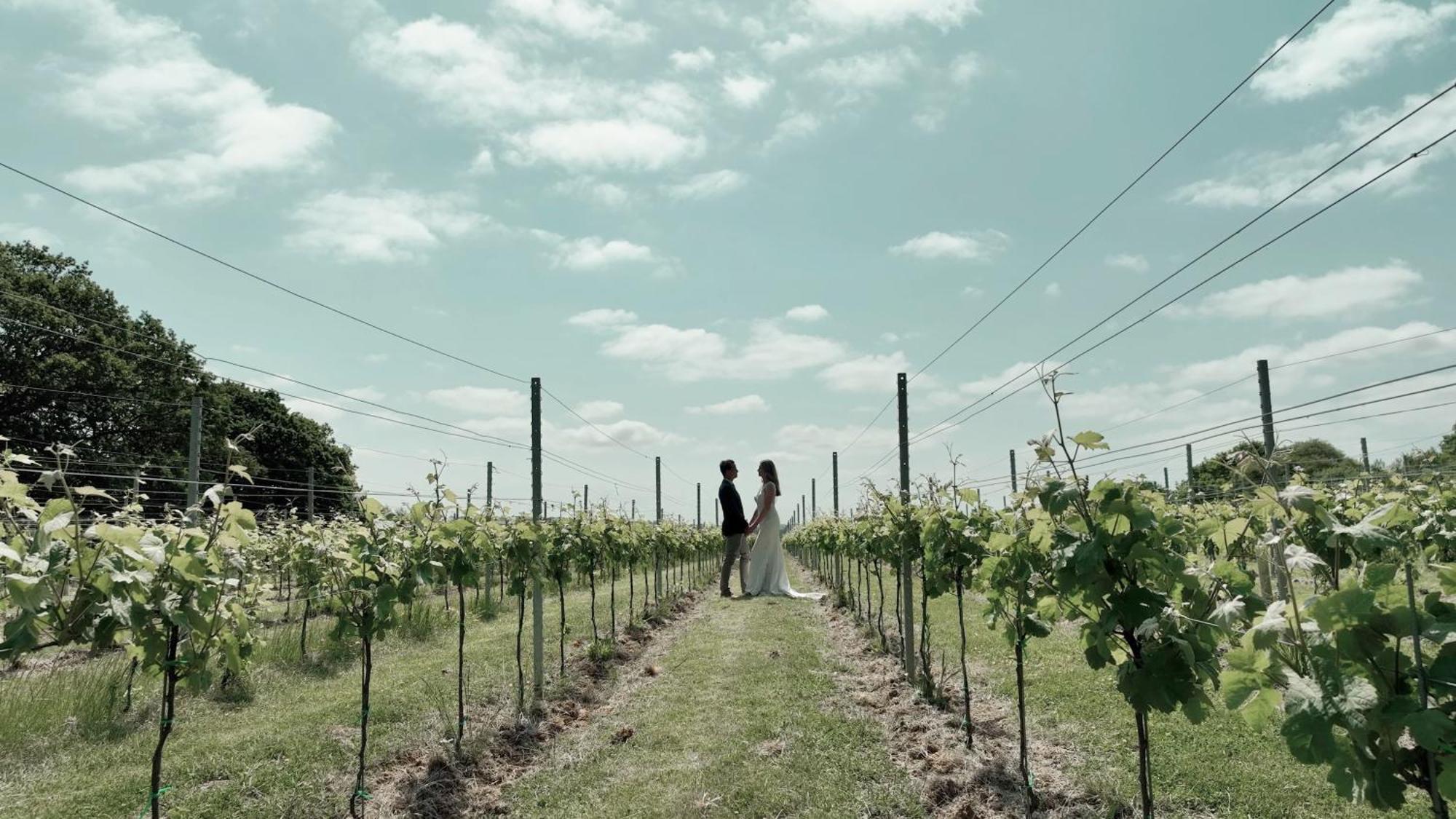 Pinkmead Estate And Vineyard Villa Osborne  Bagian luar foto
